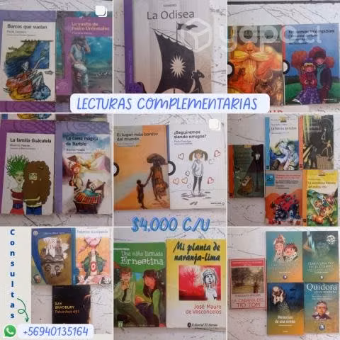Lectura complementaria