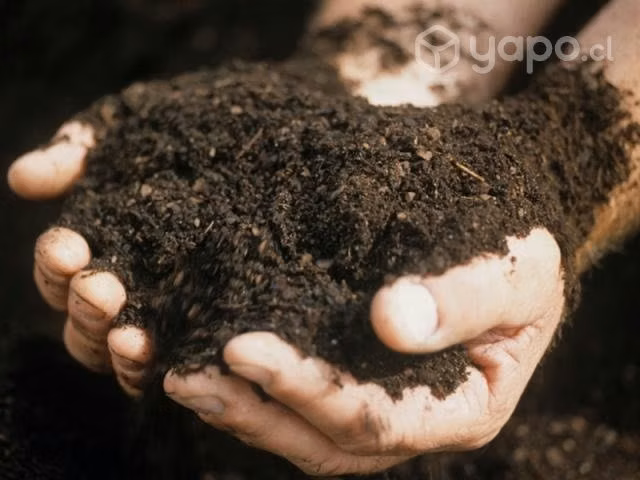 Tierra Orgánica Especial para Plantas de interior