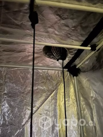 Carpa 120x120x200 Probox Ecopro Full