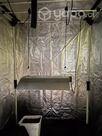 Carpa 120x120x200 Probox Ecopro Full