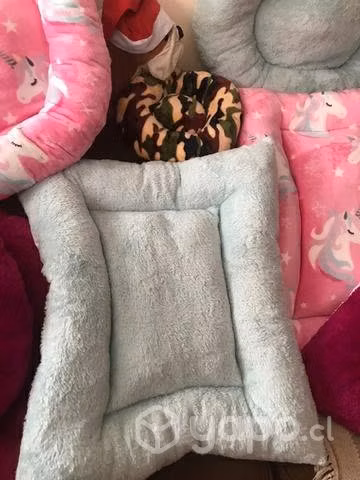 Camitas para perritos o gatitos - Imagen 6