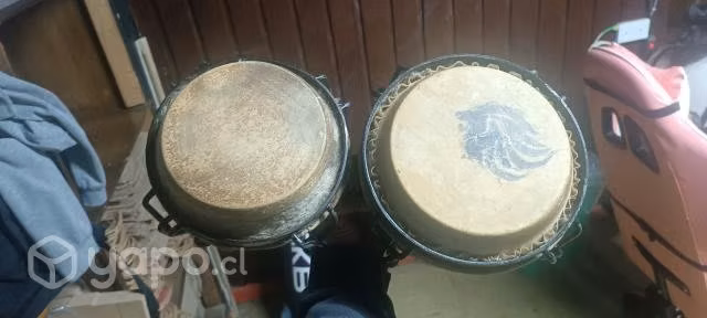Bongos