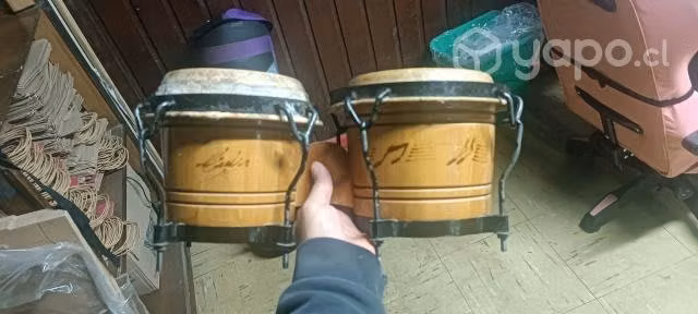 Bongos
