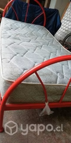 Cama