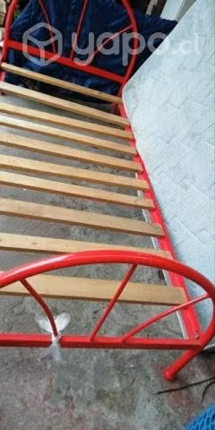 Cama