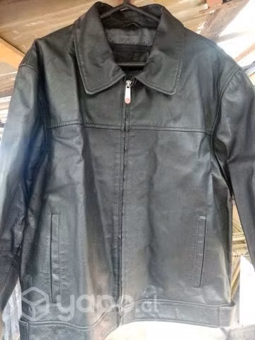 Chaqueta de cuero americanino