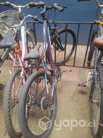 Aro 26 mujer