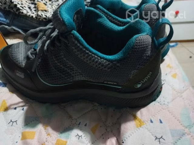 Zapatilla lippi 37