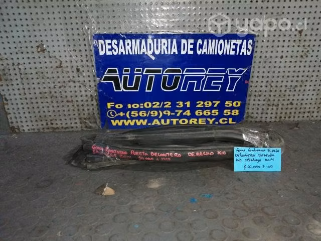 Goma Contorno Puerta Delantera Derecha Kia Sportag