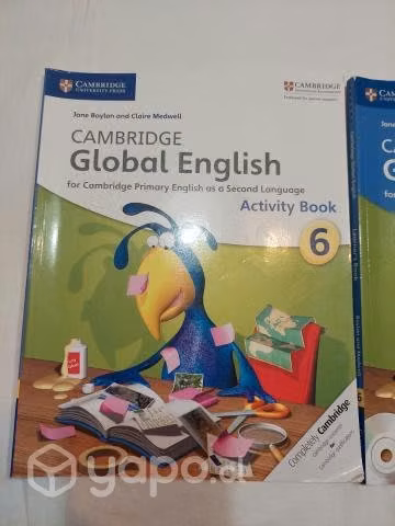 Libro Csmbridge Global English 6