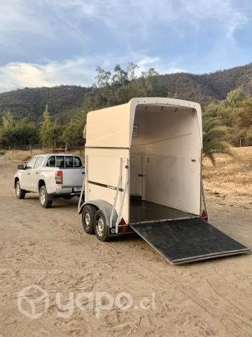 Carro caballos aleman