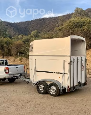 Carro caballos aleman