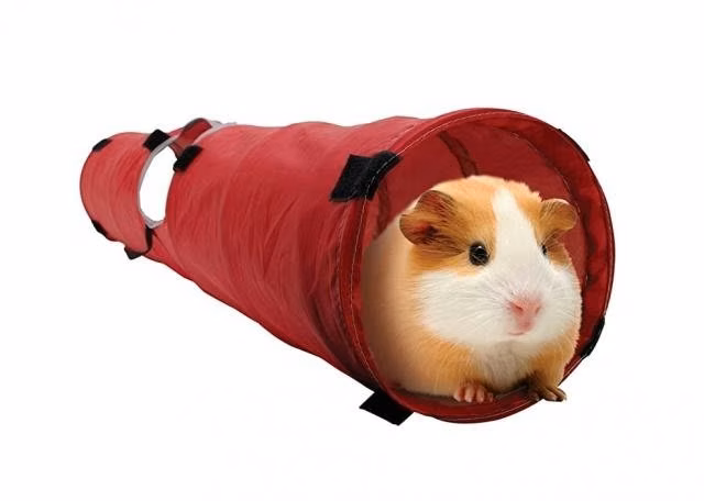 Túnel de juego para pequeños animales #61396 - Imagen 2