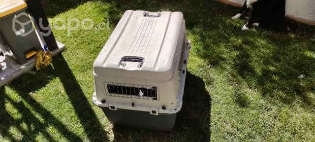 Transporte perro L80 estandar LAN.