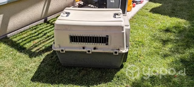 Transporte perro L80 estandar LAN.