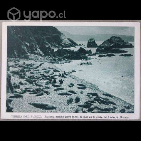 Postales de la Patagonia 1966 (Agostini) - Imagen 3