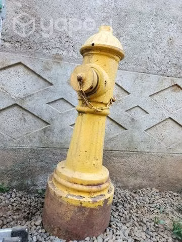 Grifo decorativo