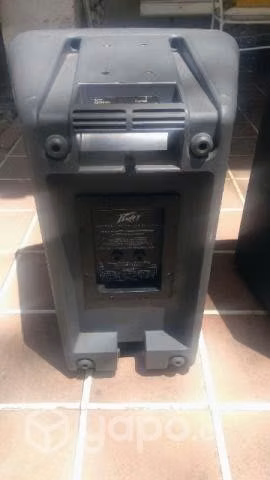 Peavey PR10 2 Cajas Pasivas - Imagen 4