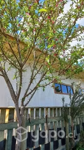 Casa/Parcela,10000 m2, Carrizal, San Javier, Maule