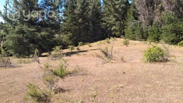 Vendo predio sector paso hondo en quillón