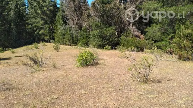 Vendo predio sector paso hondo en quillón