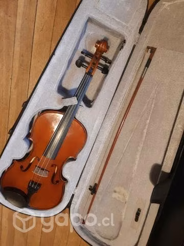 Viola en excelente estado