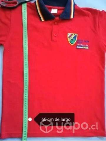 Uniforme del Instituto O Higgins de Maipú. - Imagen 3