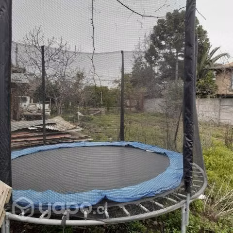 Cama Elástica 2.44 mts