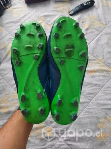 Zapatos