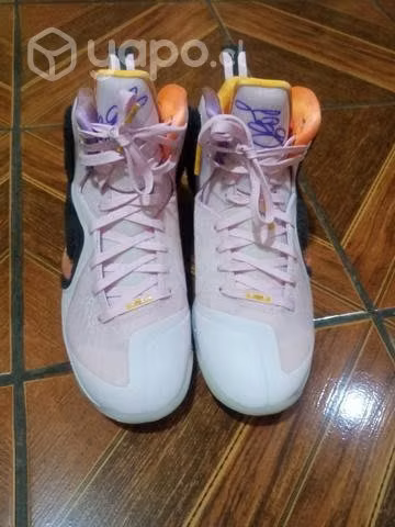 Nike LeBron IX