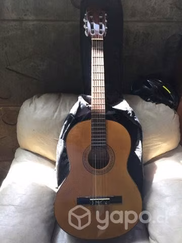 Guitarra acustica