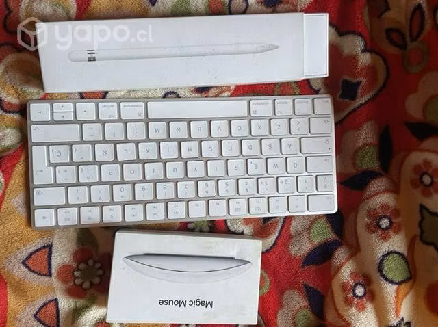 Magic mouse 2