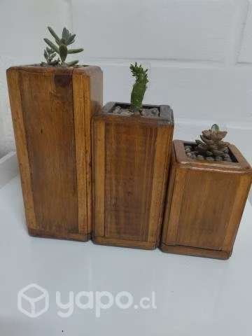 Maceteros de madera y suculentas - Imagen 2