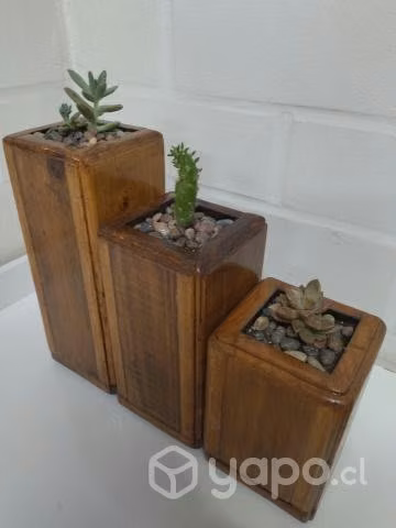 Maceteros de madera y suculentas - Imagen 3