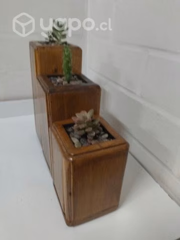 Maceteros de madera y suculentas - Imagen 4