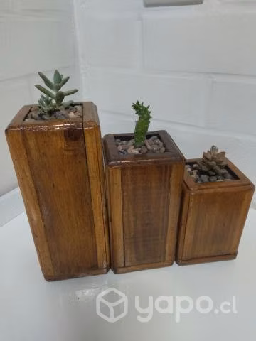 Maceteros de madera y suculentas - Imagen 5