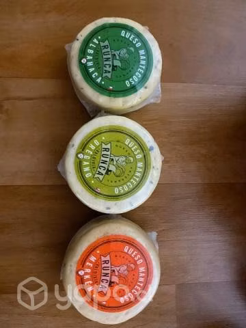 Quesos gourmet variedades