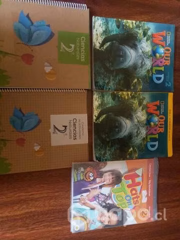 Libros segundo basico
