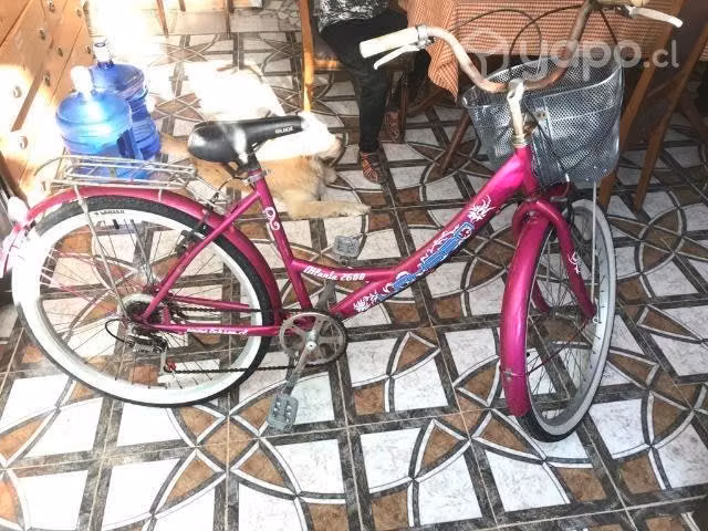Bicicleta Lahsen aro 26