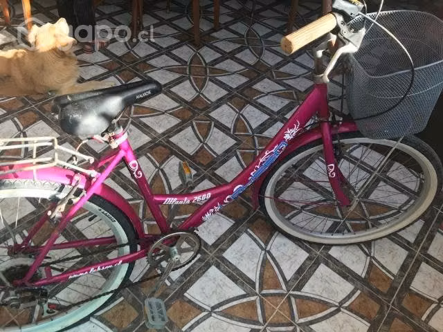Bicicleta Lahsen aro 26