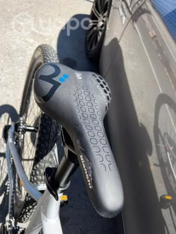 Bianchi peregrine nueva