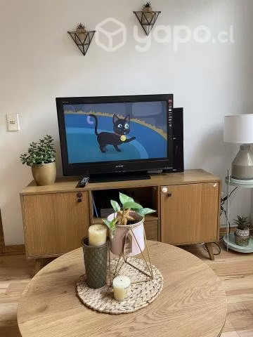 Televisor LCD Sony