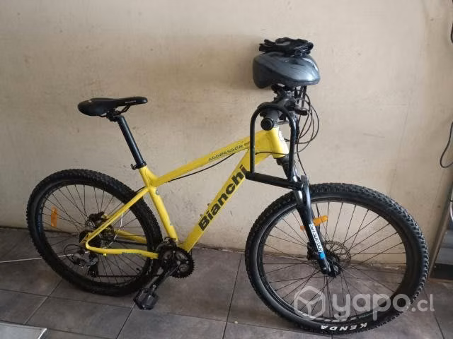 Bicicleta