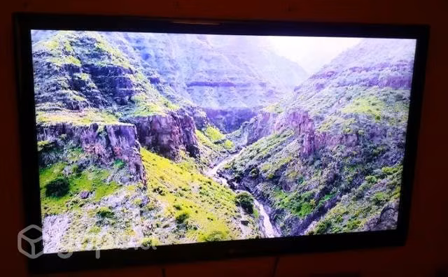 TV (con fallas) lg 55 pulgadas (no smart)
