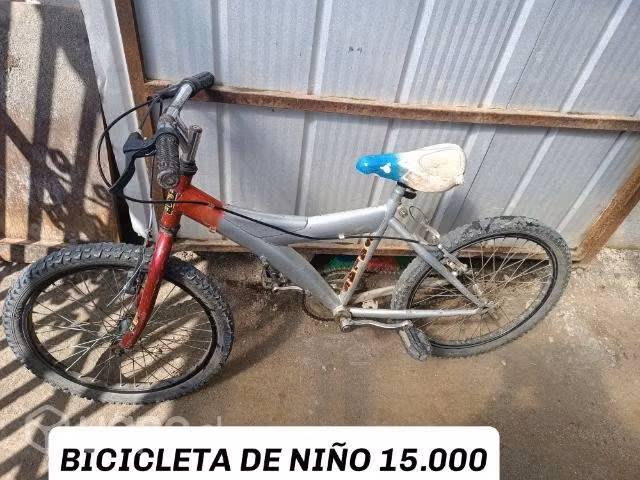 Bicicletas detalles minimos - Imagen 2