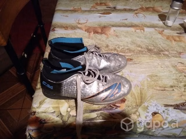 zapatillas
