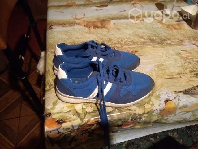 zapatillas