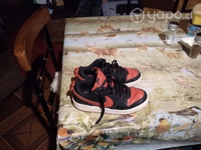 zapatillas