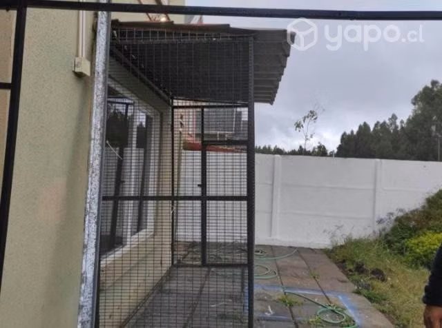 Jaula grande para Loros - Imagen 2
