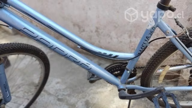 Bicicleta de paseo